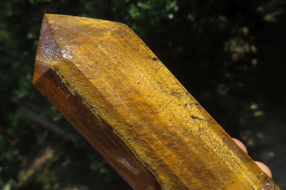 Tigers Eye Points