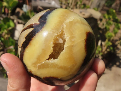 Dragon Stone Septarian sphere