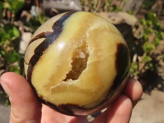 Dragon Stone Septarian sphere