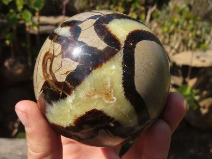 Dragon Stone Septarian sphere