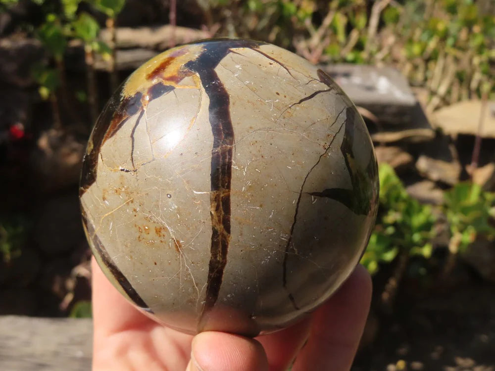 Dragon Stone Septarian sphere