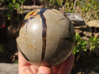 Dragon Stone Septarian sphere