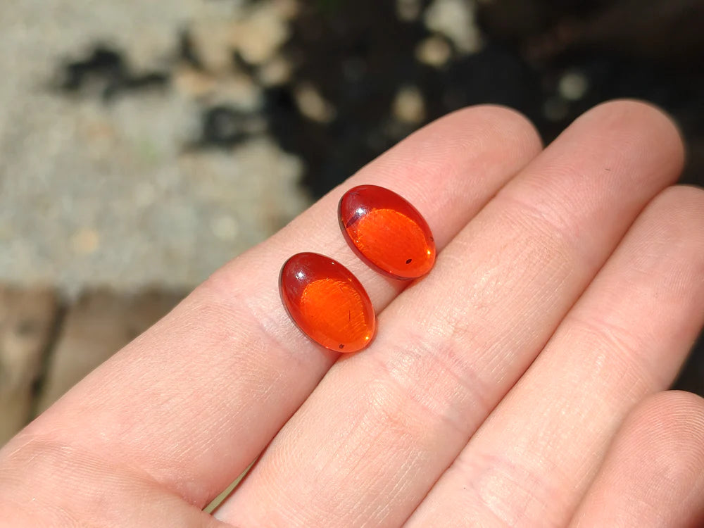 Pair Of Fossilised Baltic Amber Cabochons