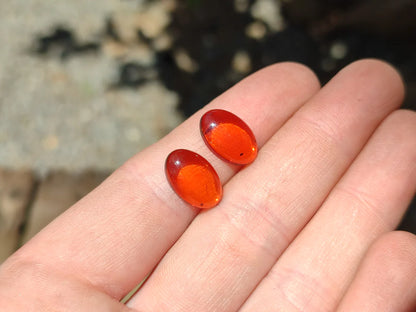 Pair Of Fossilised Baltic Amber Cabochons