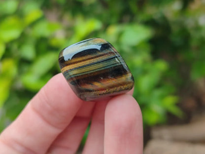 Blue and Gold Tigers Eye Tumble Stones