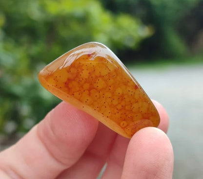 Botswana Agate Tumbled Stones