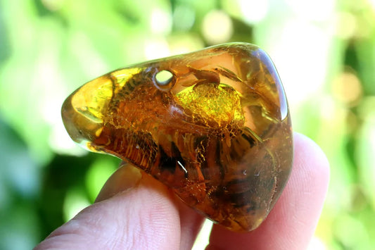 Raw Amber Gemstone