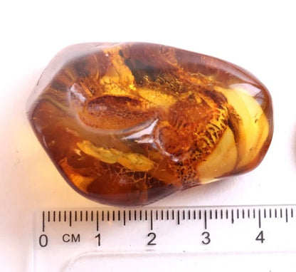 Raw Amber Gemstone